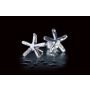 18ct White Gold Diamond Starfish Earrings